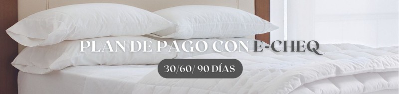 PLAN DE PAGO E-CHEQ C/LOGIN